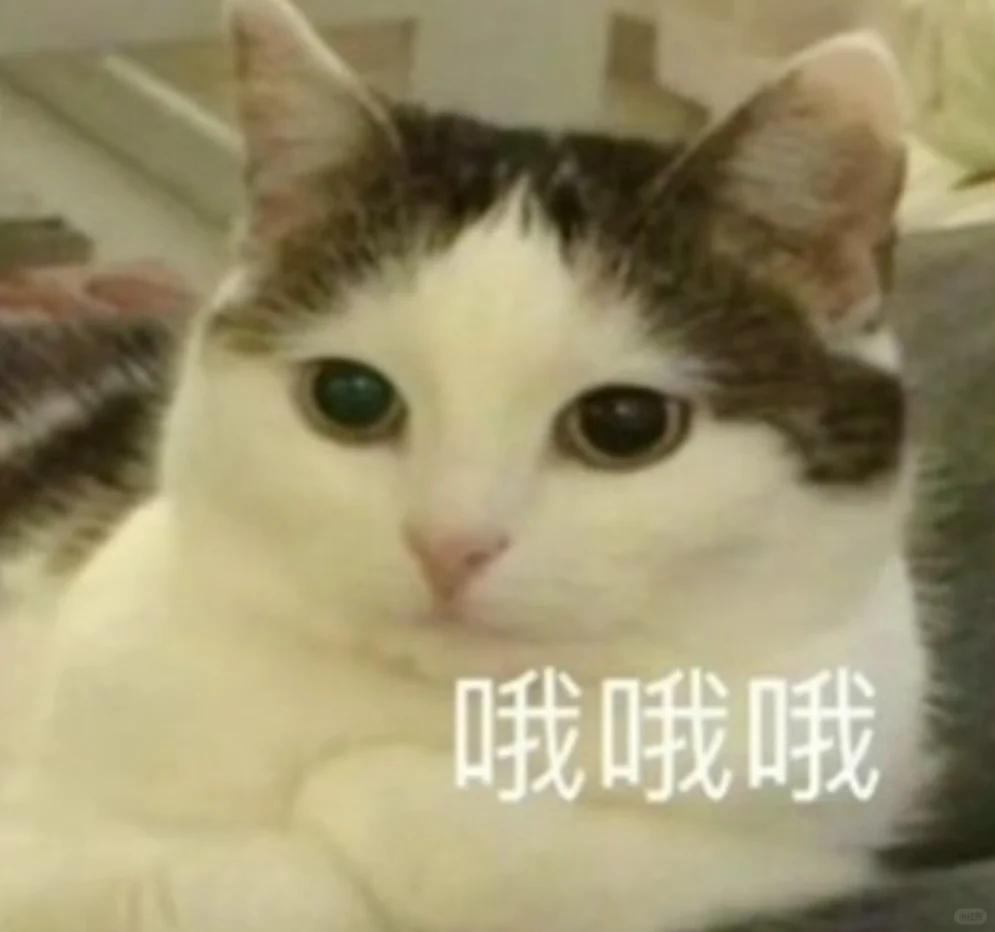 可可爱爱的猫猫表情包来啦