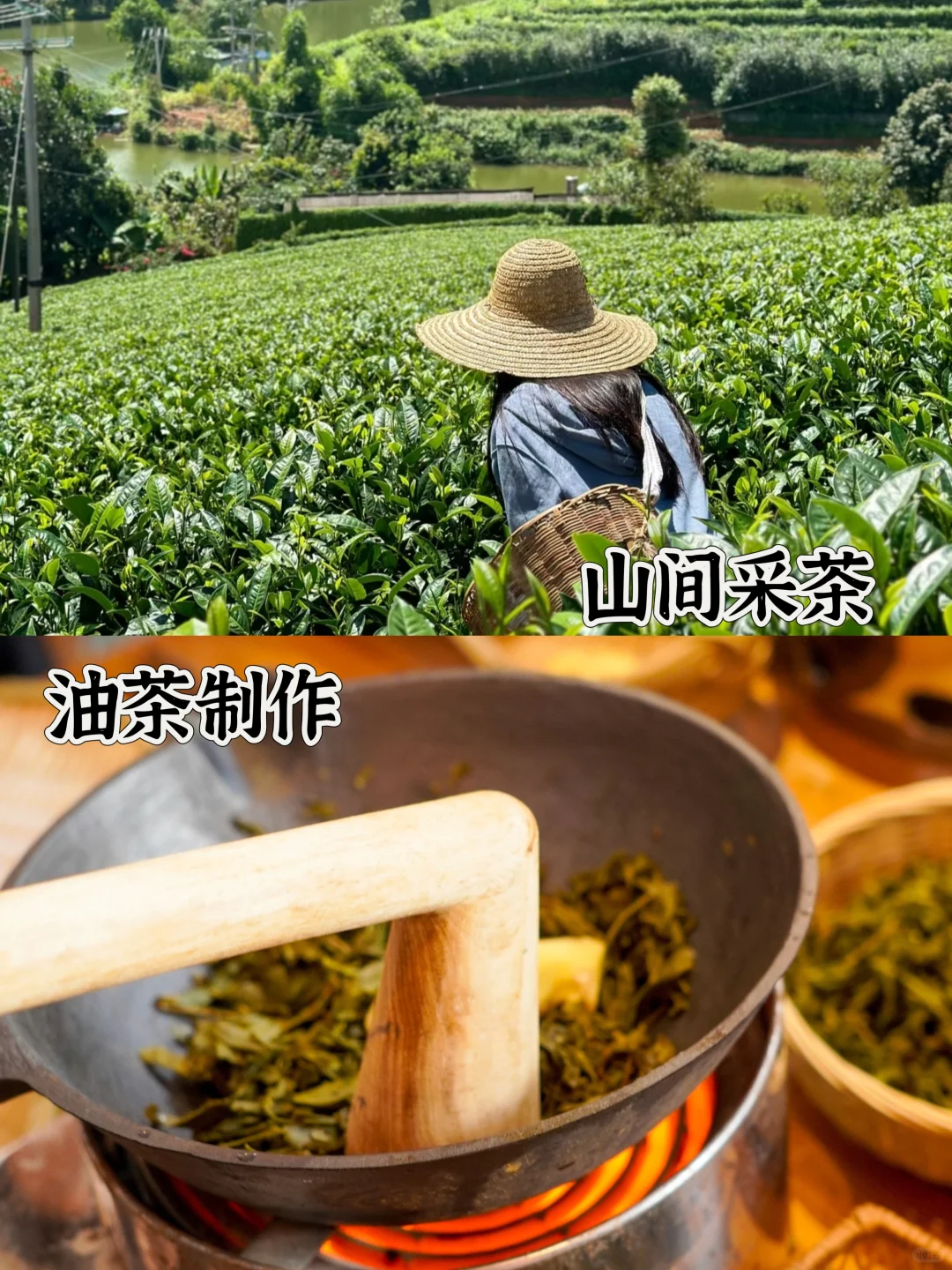 女神节特辑｜在玉林玩解锁你的专属宠爱指南