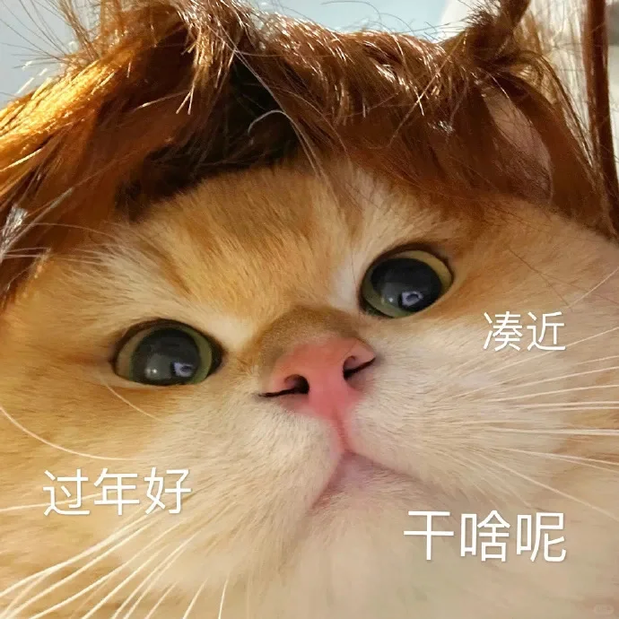 猫咪新年拜年表情包，快收藏！