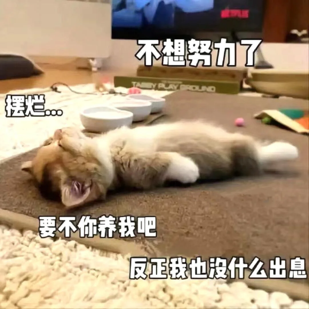 可爱小猫咪表情包