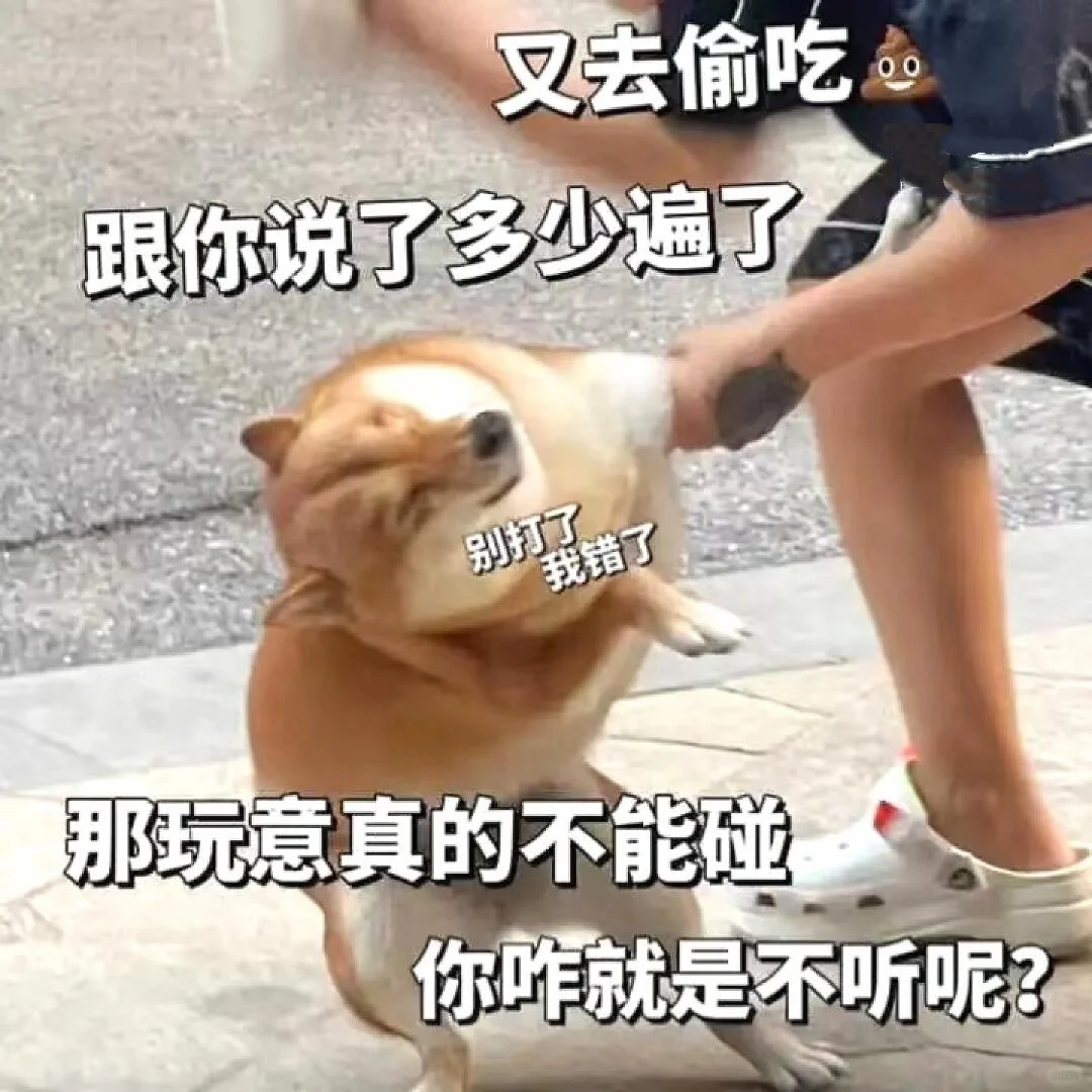 可爱小猫咪表情包