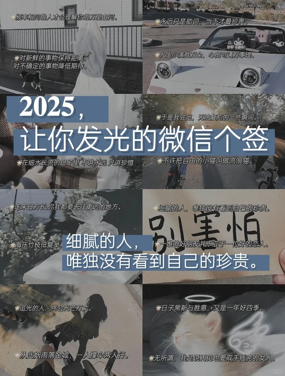 2025，做个闪闪发光的girl ！✨