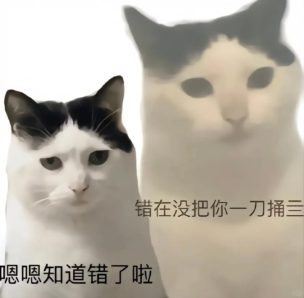 猫猫表情包5