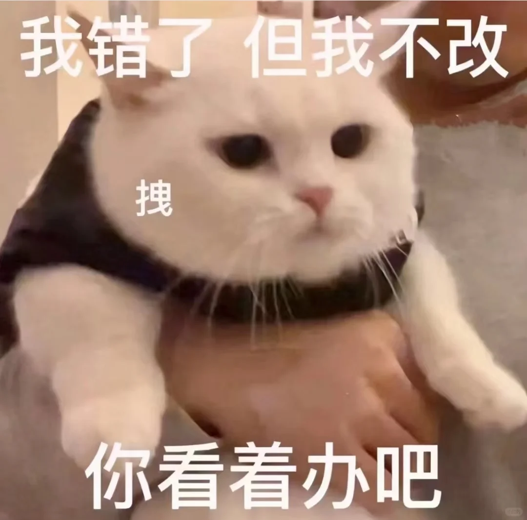 可可爱爱的猫猫表情包来啦