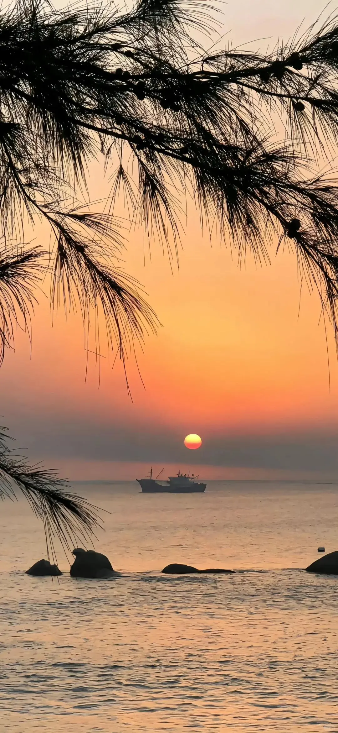 高清壁纸｜海边落日