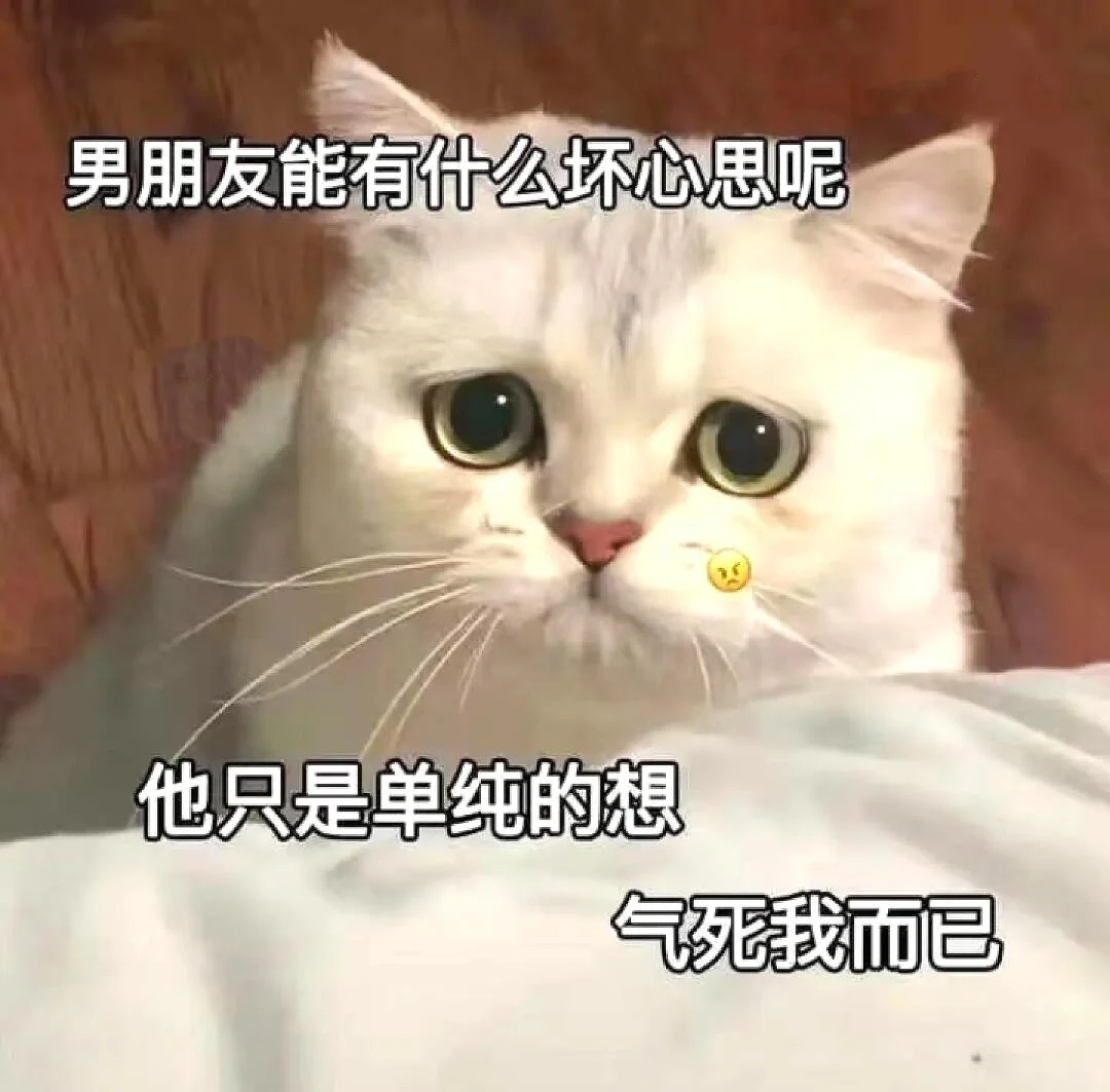 可爱小猫咪表情包