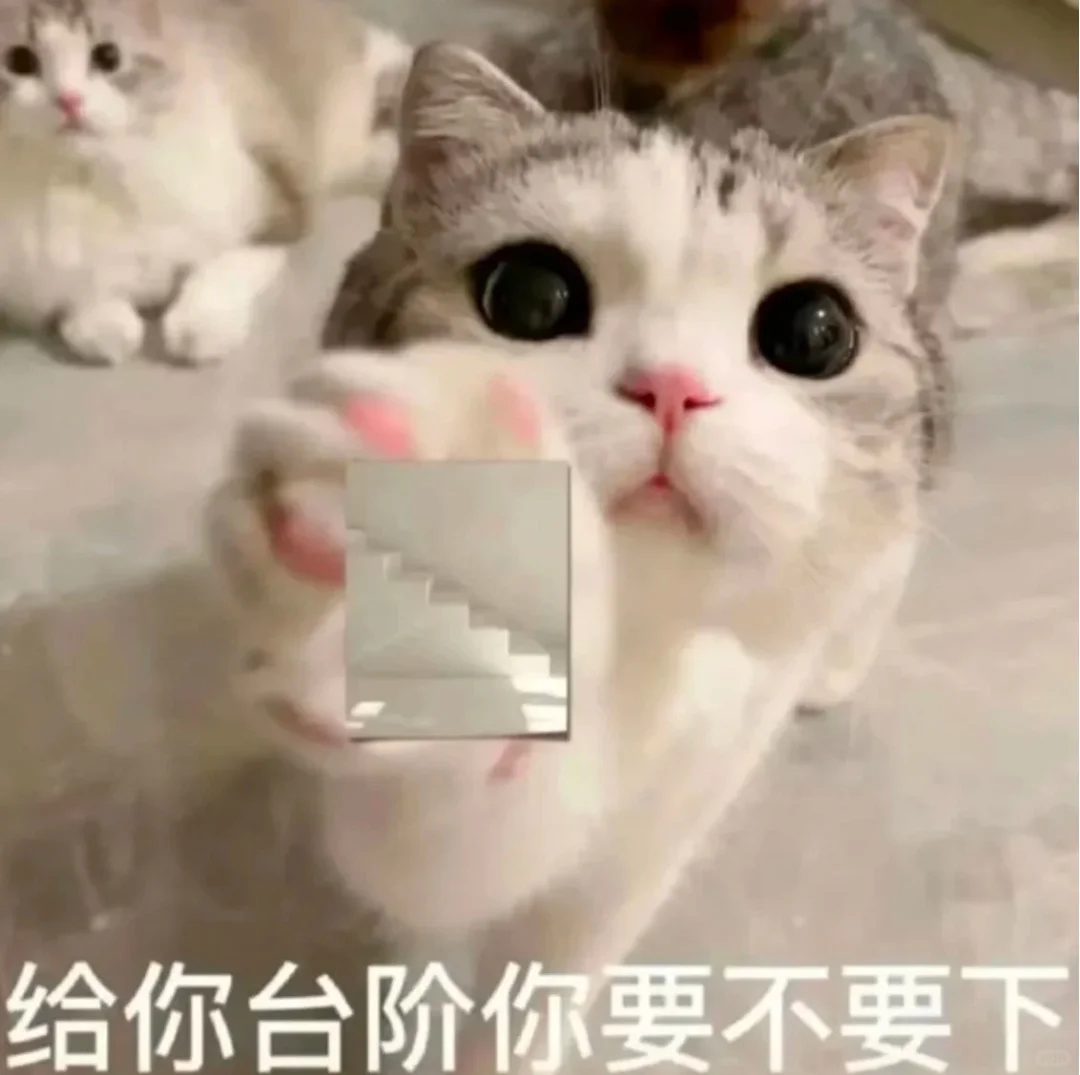 可可爱爱的猫猫表情包来啦