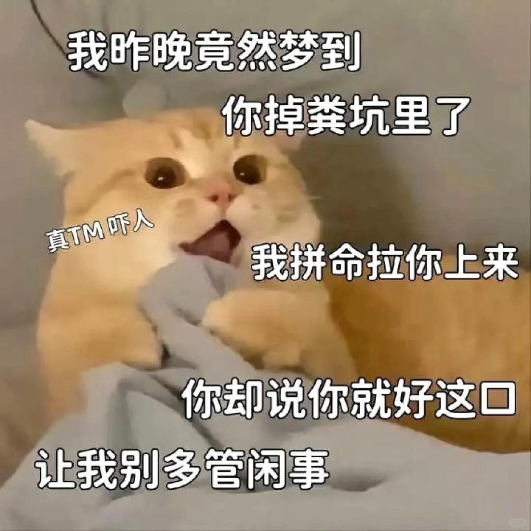 可爱小猫咪表情包