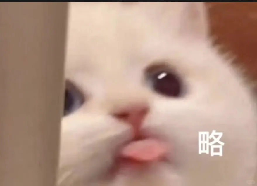 可可爱爱的猫猫表情包来啦