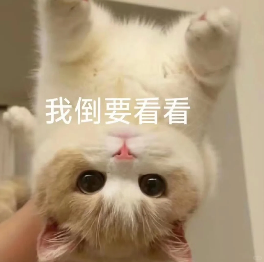 可可爱爱的猫猫表情包来啦