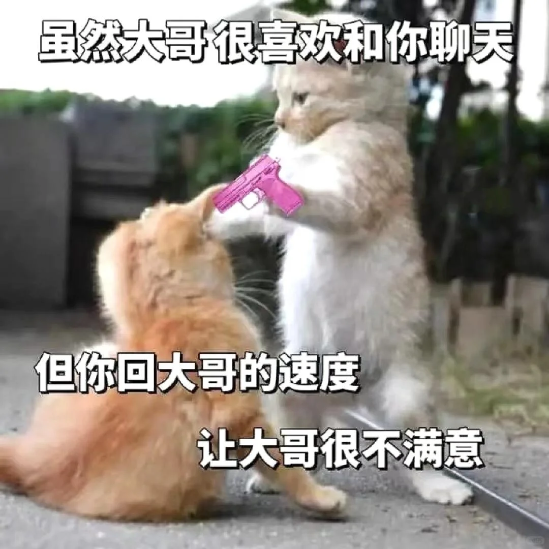 可爱小猫咪表情包