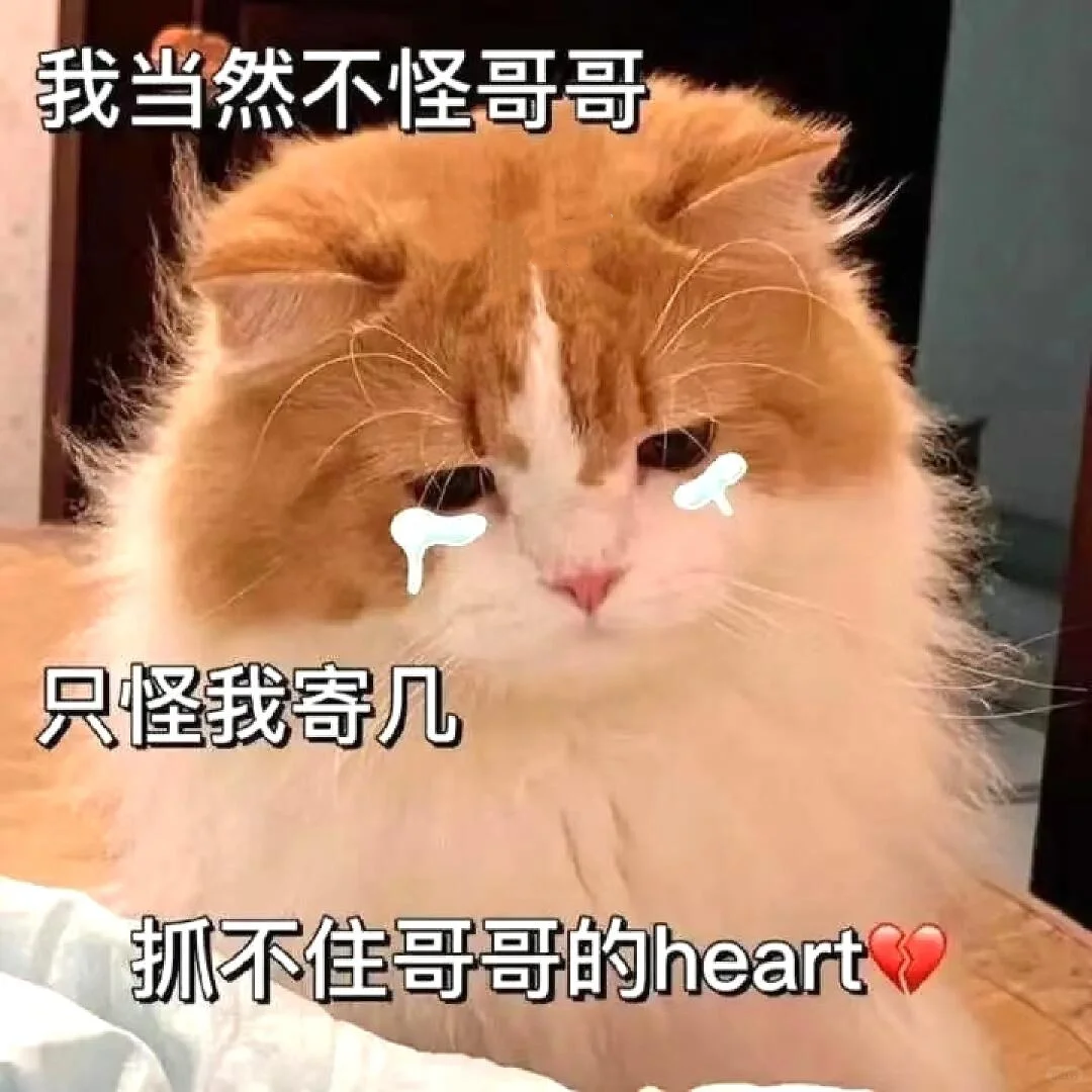 可爱小猫咪表情包