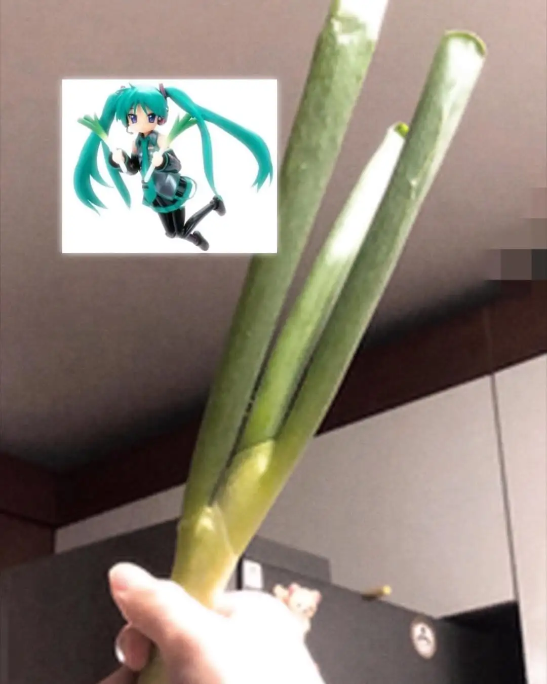 miiiiku