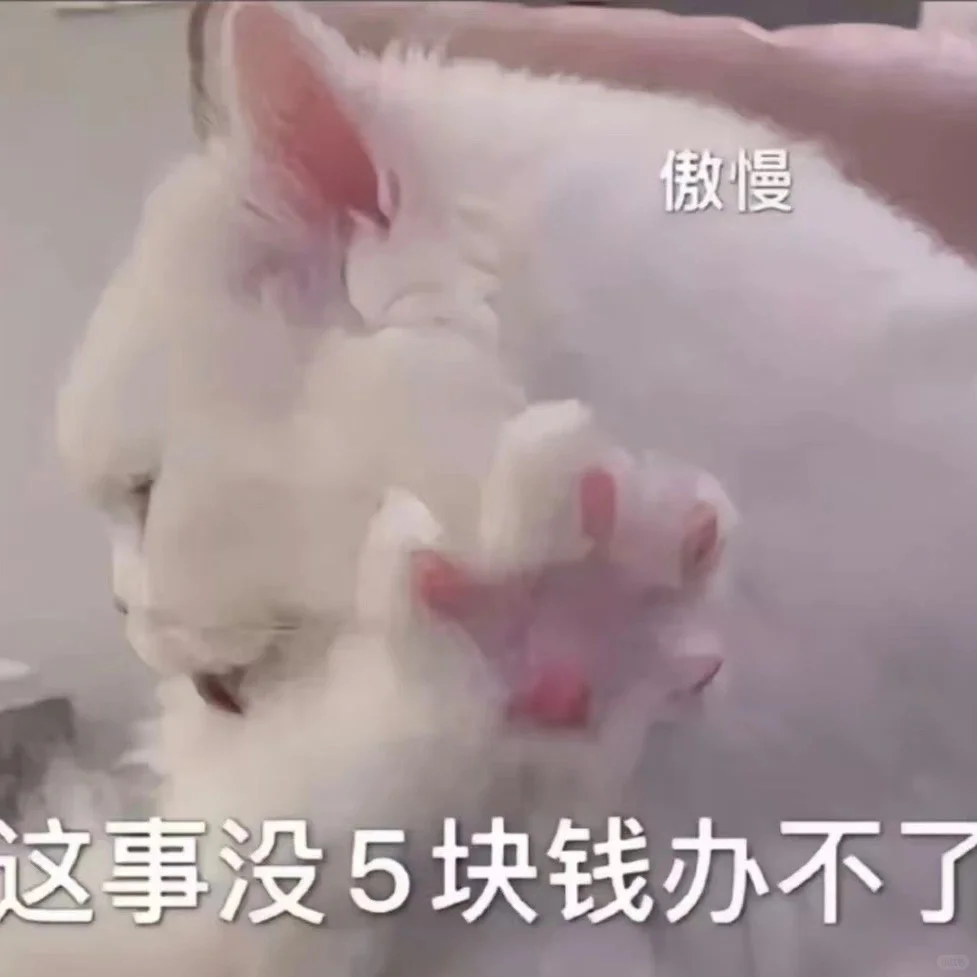 今日份猫猫表情包