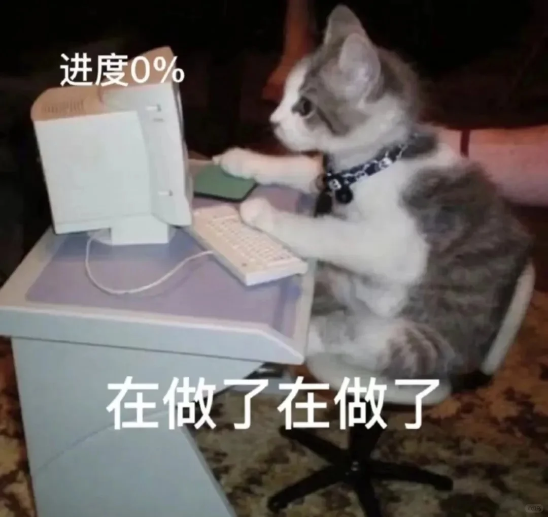 抽象猫猫表情包合集