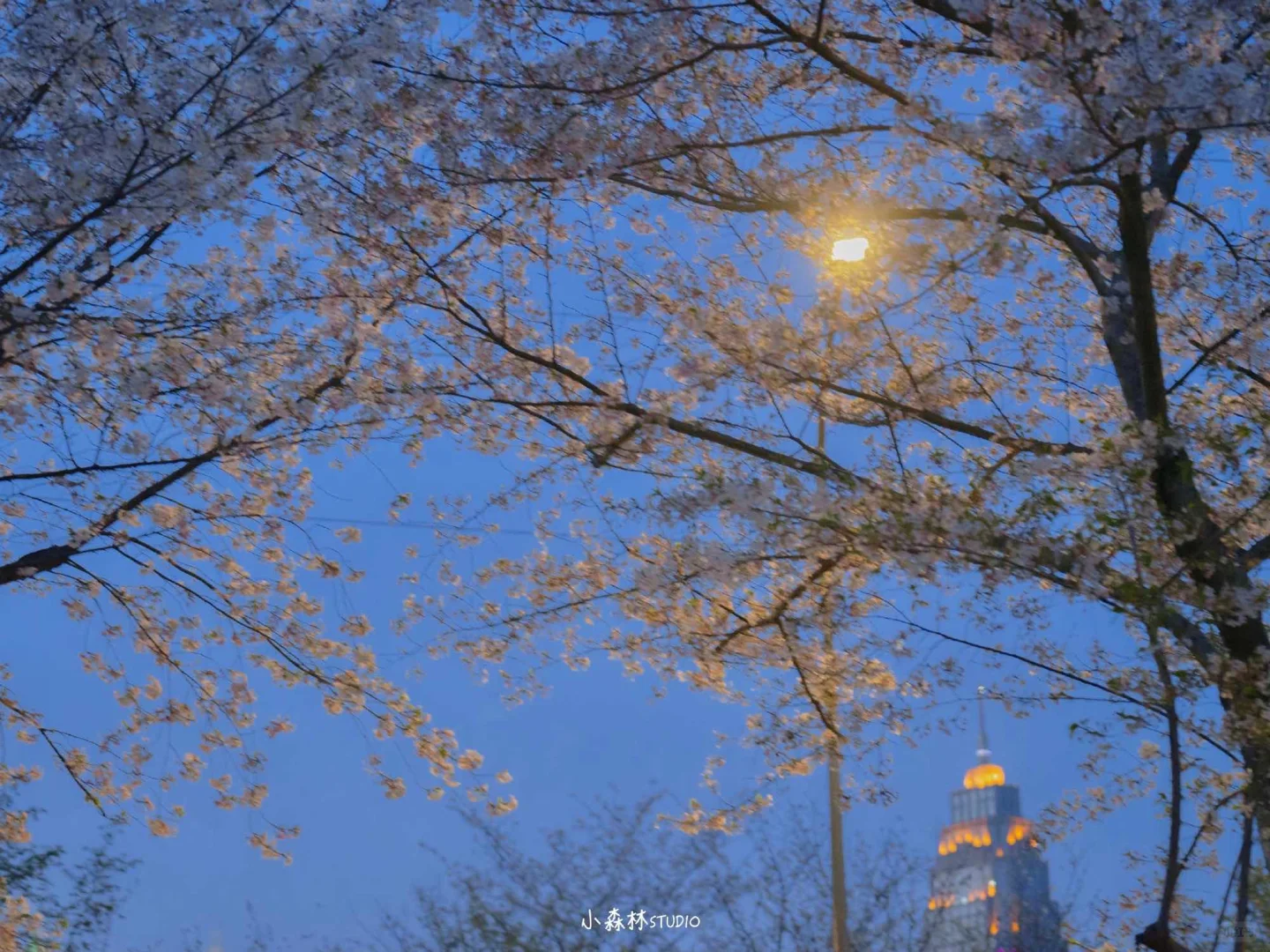 自从买了平板之后，就存了一堆平板壁纸