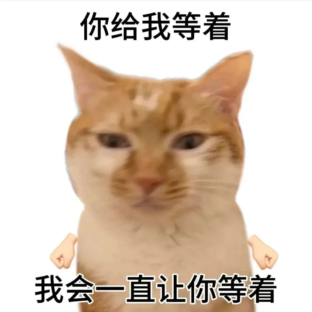 抽象猫猫表情包合集