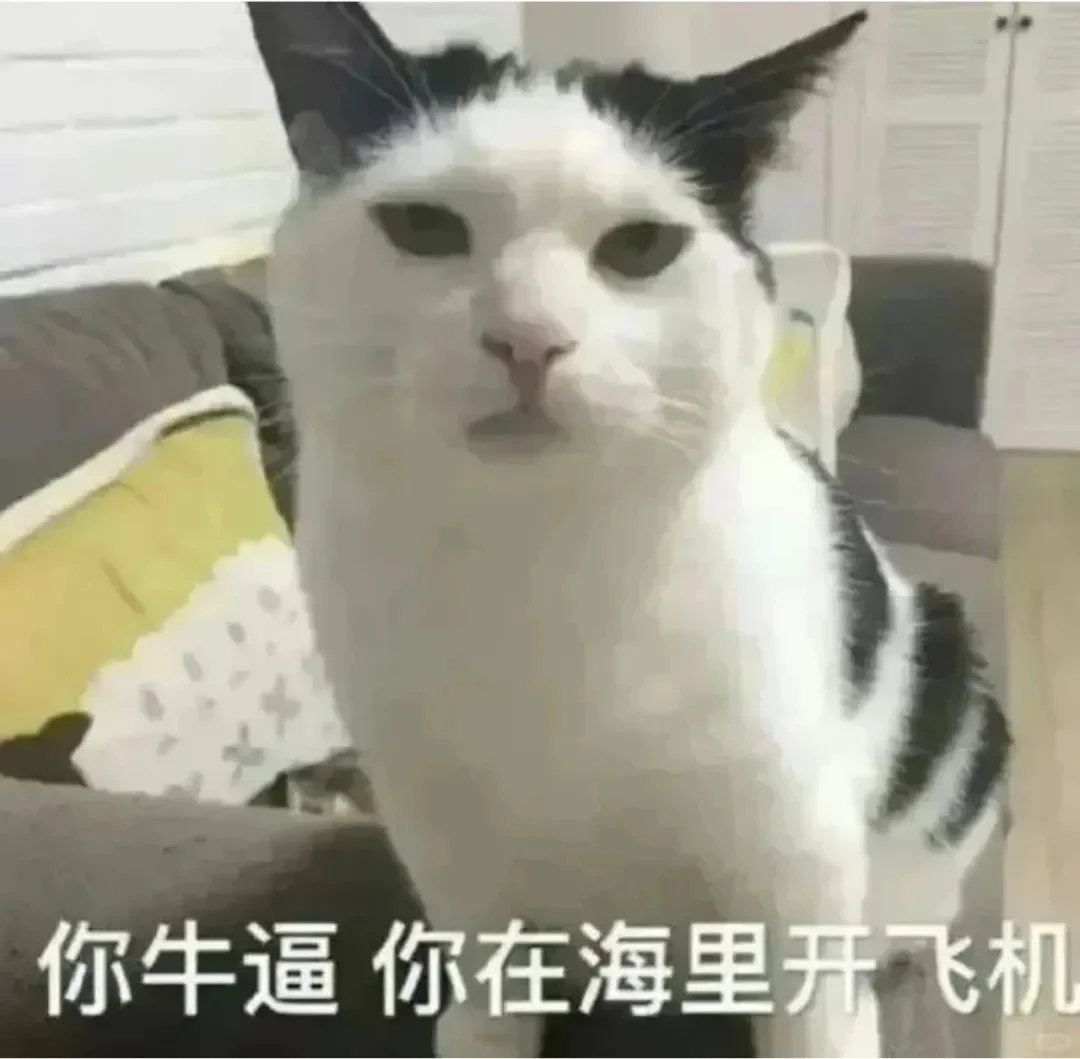 抽象猫猫表情包合集