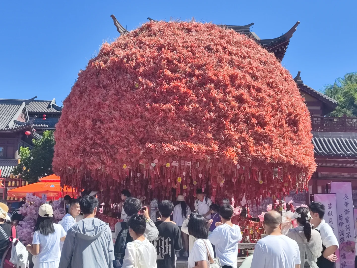 周末到 河北这不来太亏——邯郸方特！！