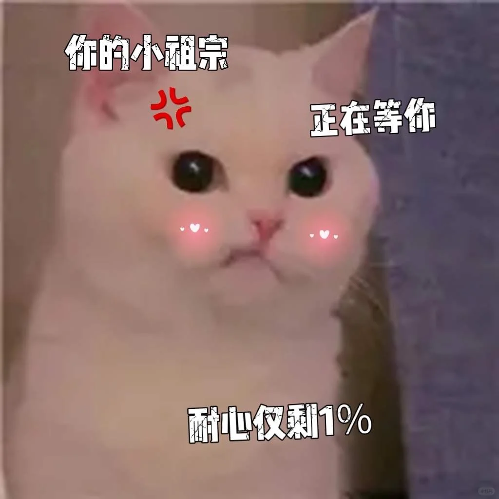 可爱猫咪发给对象表情包