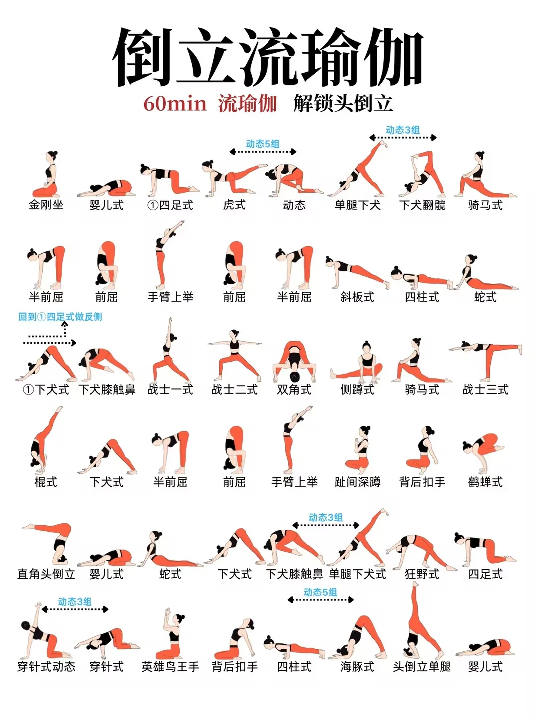 分享瑜伽老师们都在用的1️⃣8️⃣套排课❗