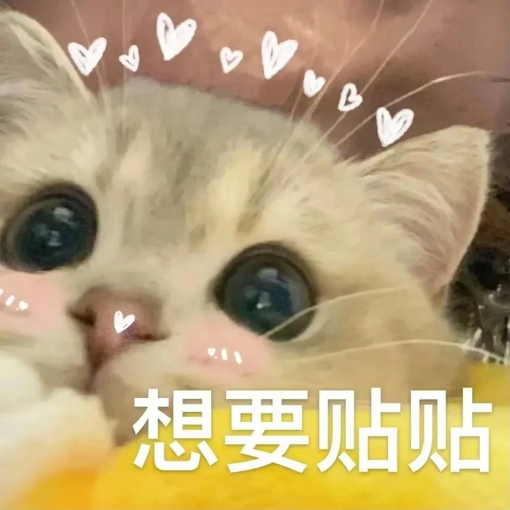 发给爱人的小猫表情包