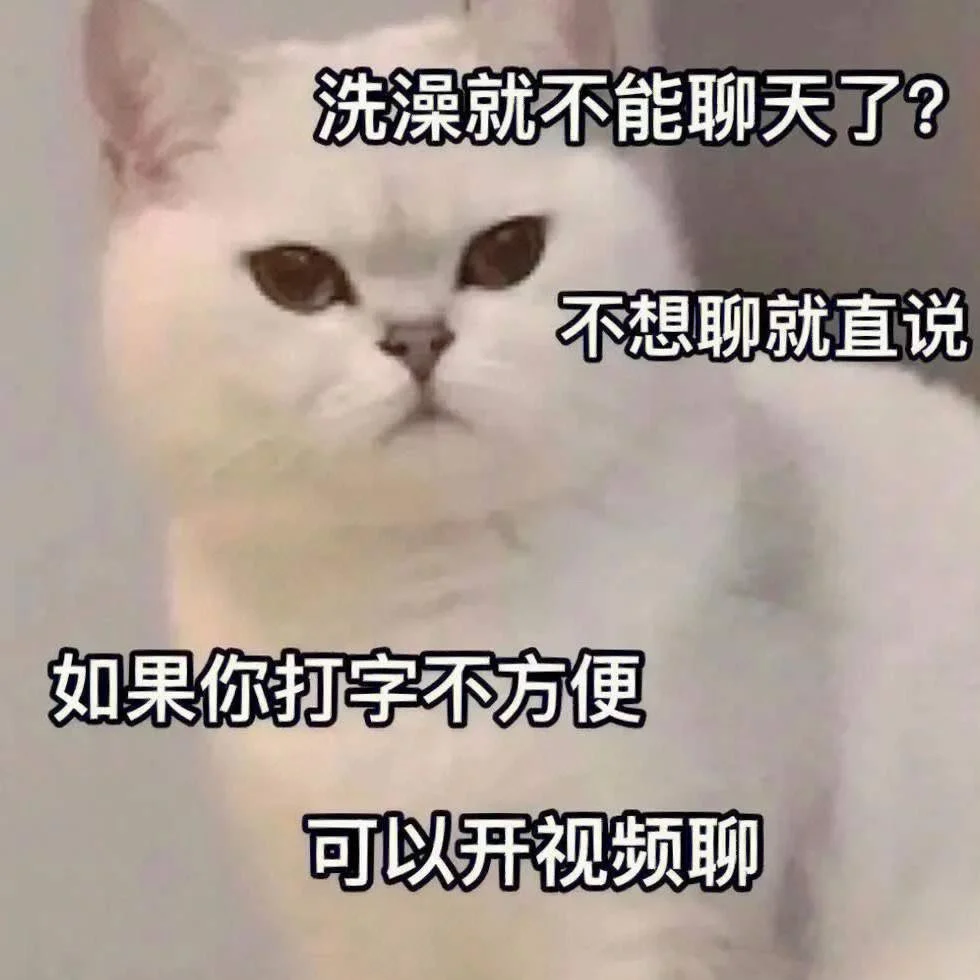 可爱猫咪发给对象表情包