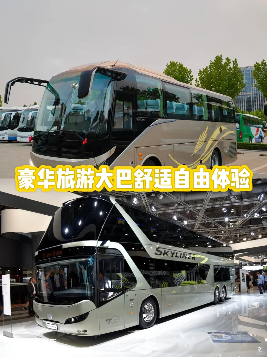 馆陶张北赵县大巴租车中巴包车房车租赁