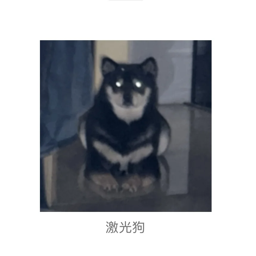 著名柴犬私房照流出