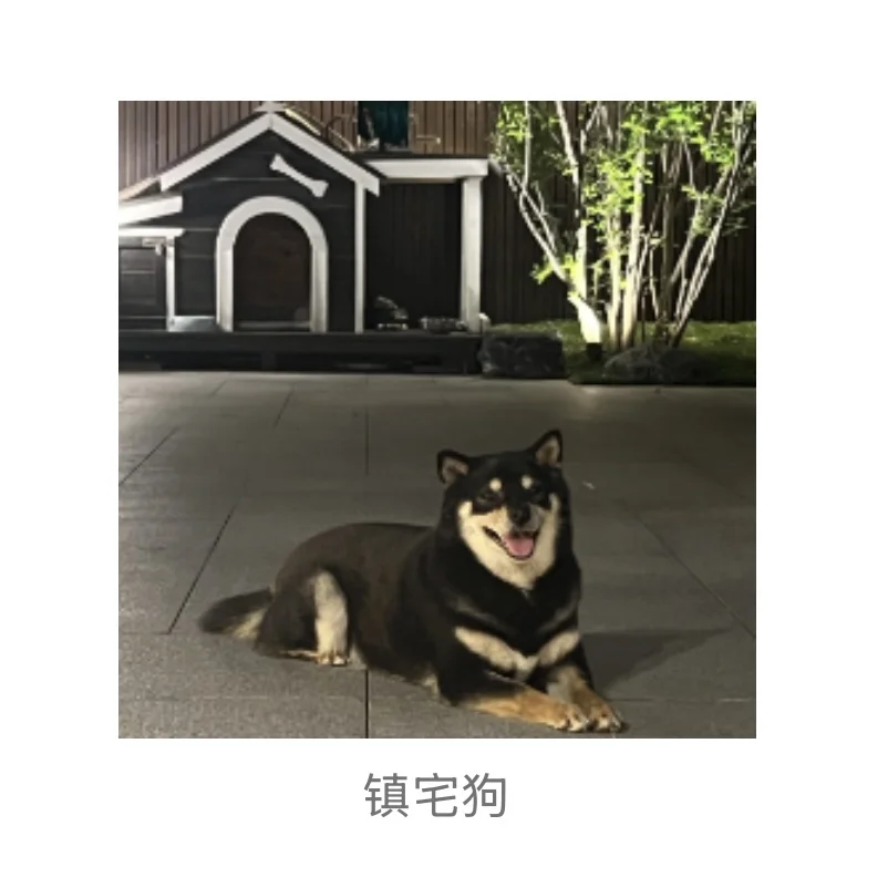 著名柴犬私房照流出