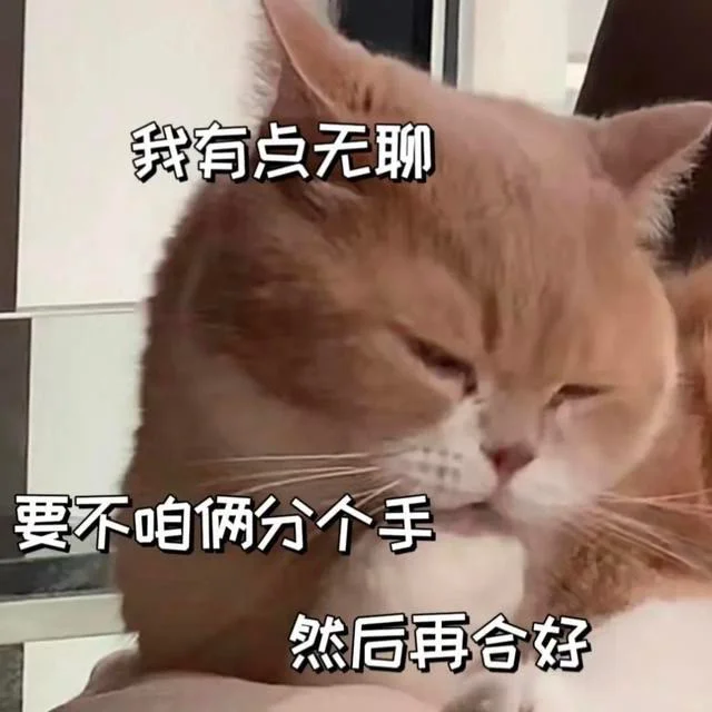 可爱猫咪发给对象表情包