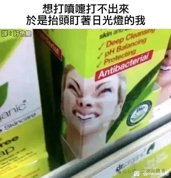 在车上拍的女生真的好乖！