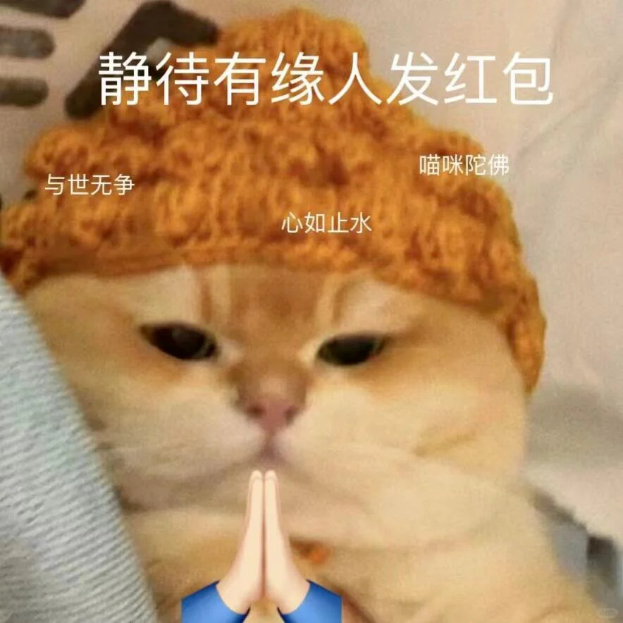 超级可爱的猫猫表情包