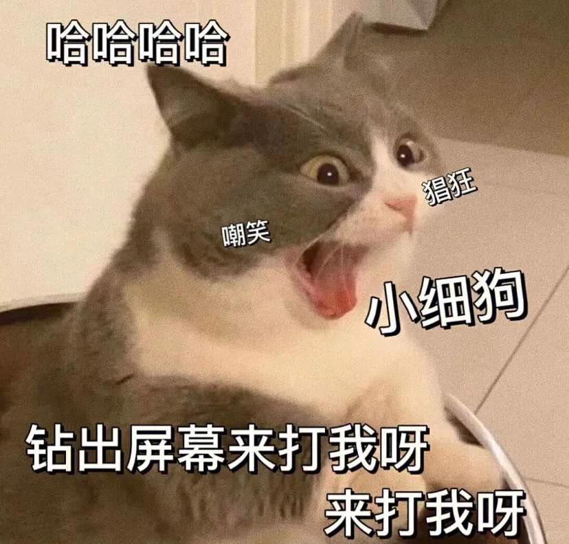 可爱猫咪发给对象表情包