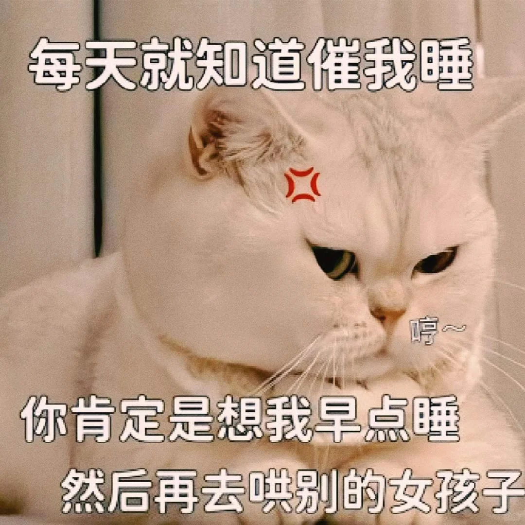 可爱猫咪发给对象表情包