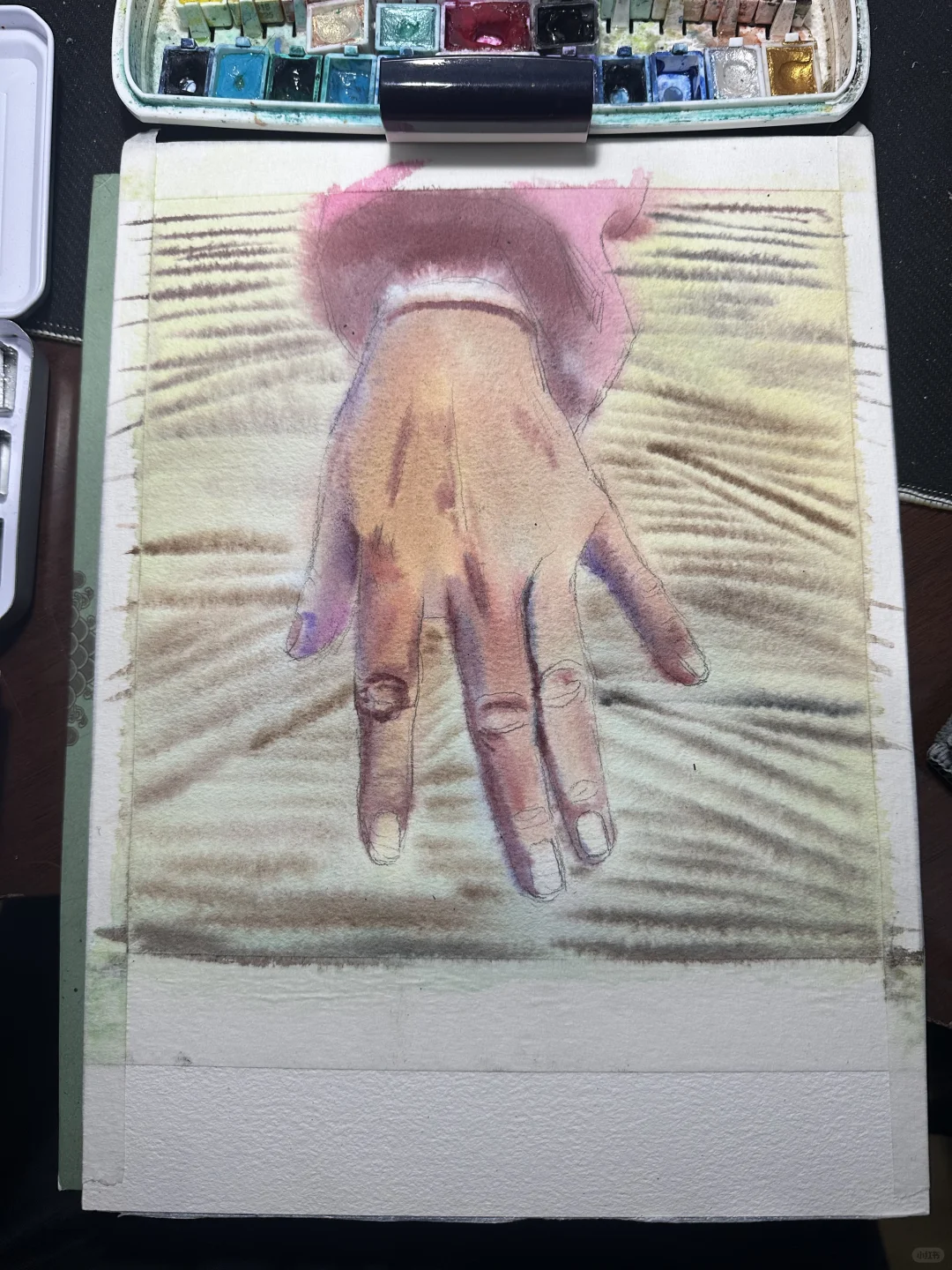 画了一只