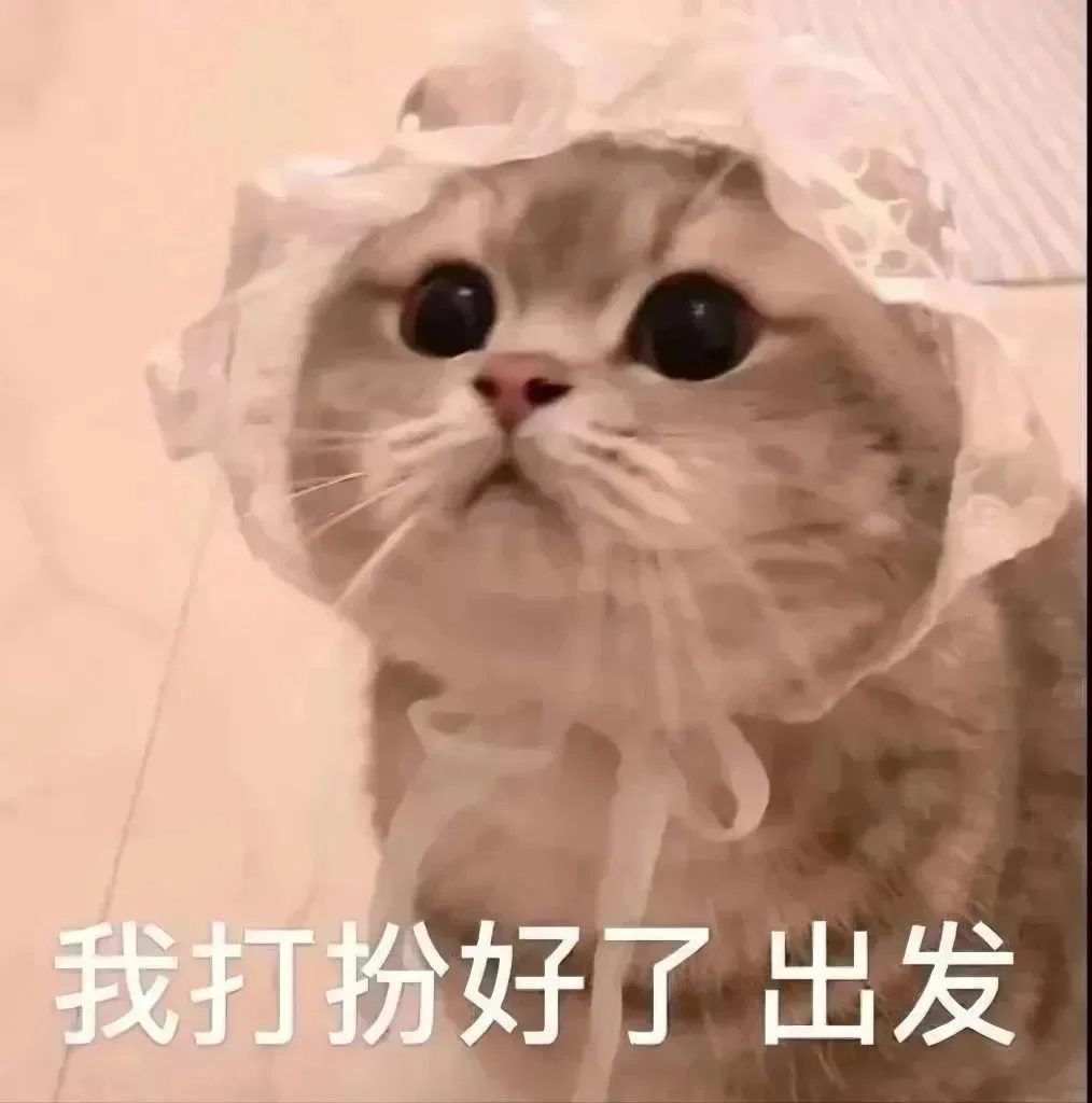 猫咪表情包 情侣聊天专用表情