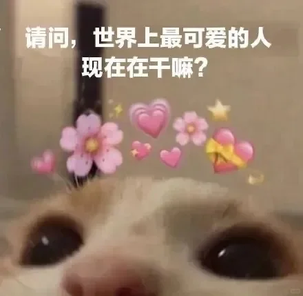 发给爱人的小猫表情包