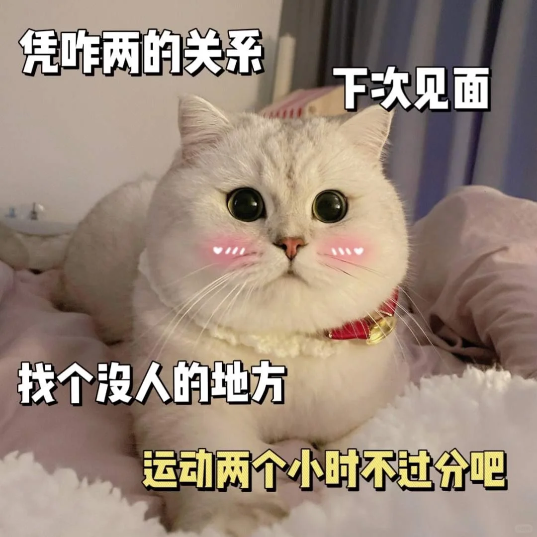 可爱猫咪发给对象表情包