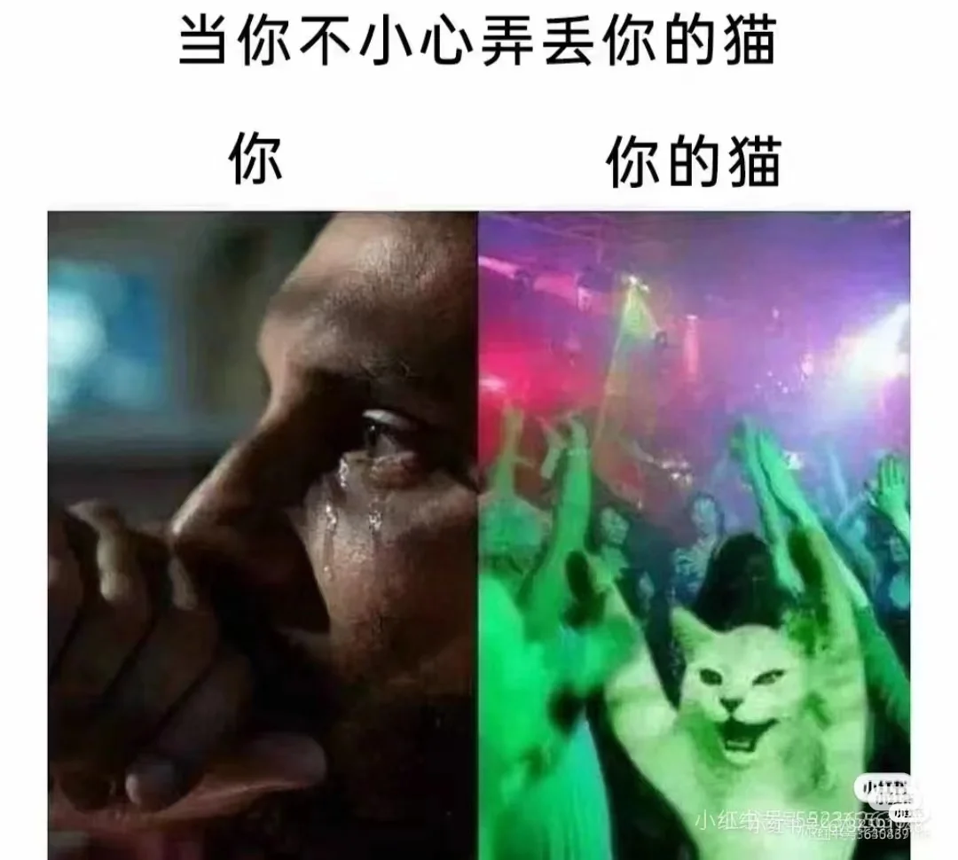 阿巴阿巴