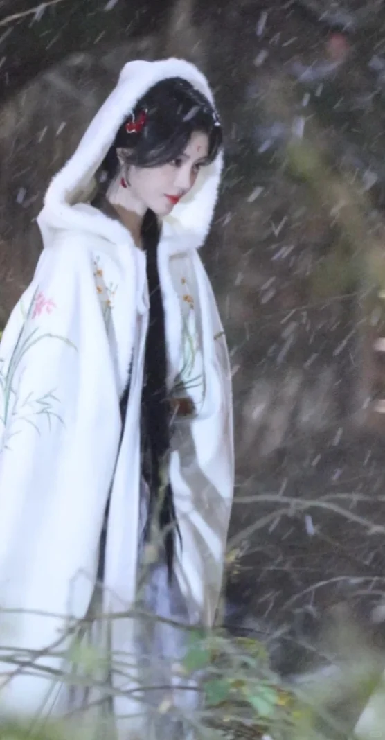 白雪红梅，此女乃绝色