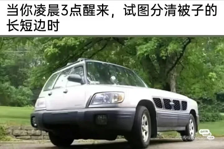 阿巴阿巴