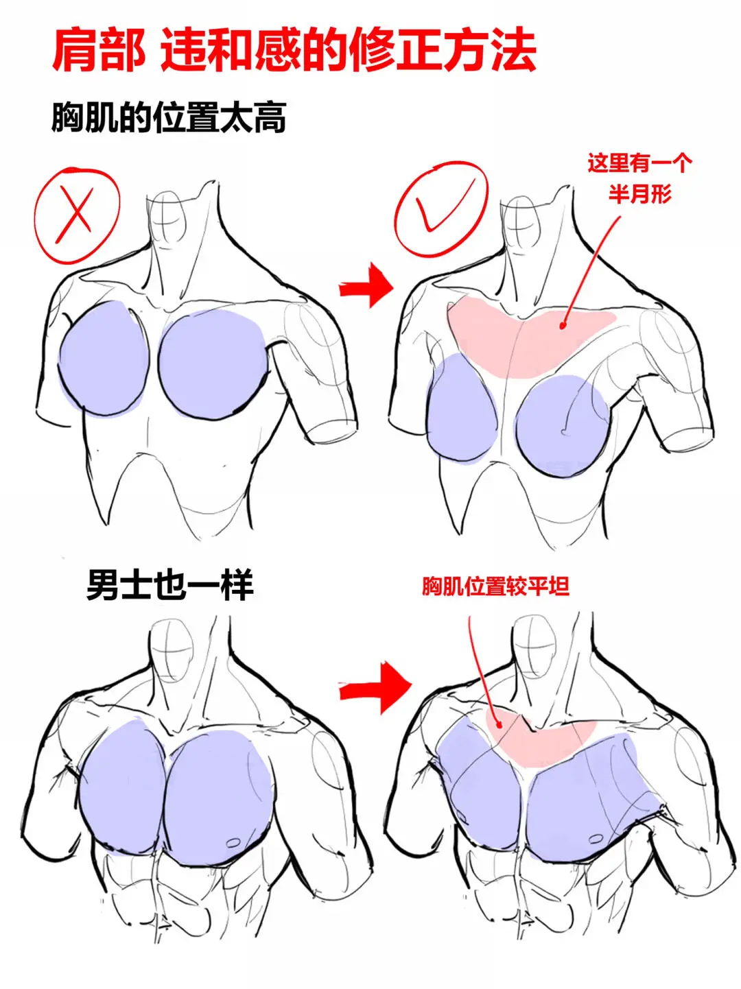 人体动态:肩部违和感的修正