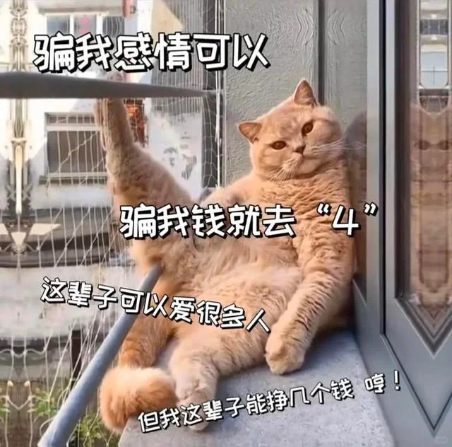 可爱猫咪发给对象表情包