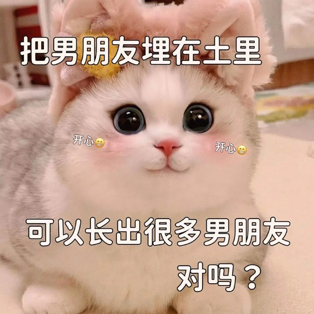 可爱猫咪发给对象表情包