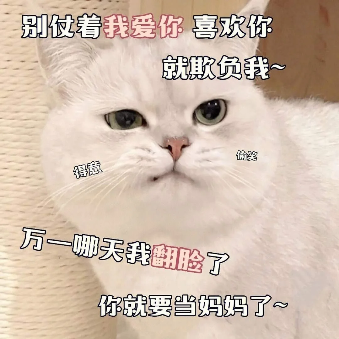 可爱猫咪发给对象表情包