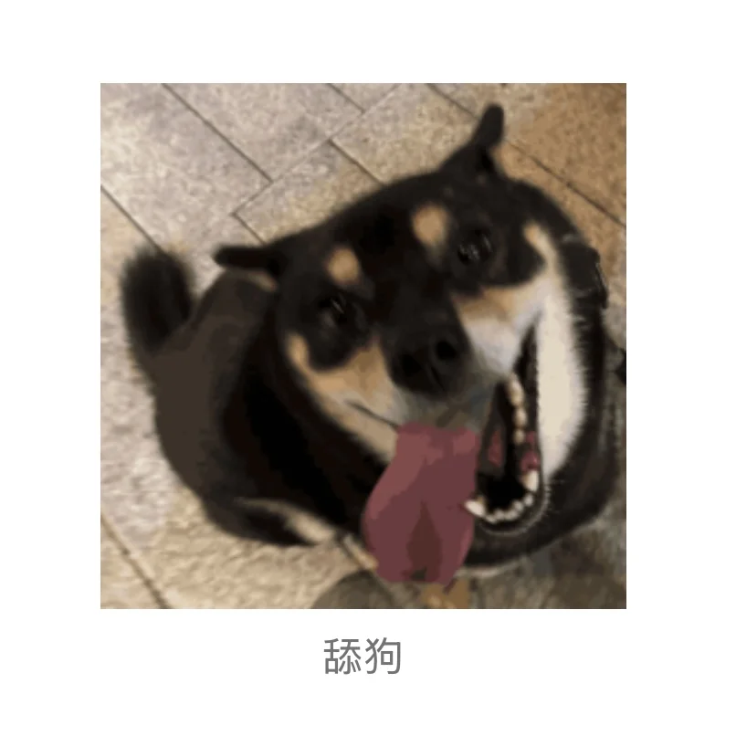 著名柴犬私房照流出