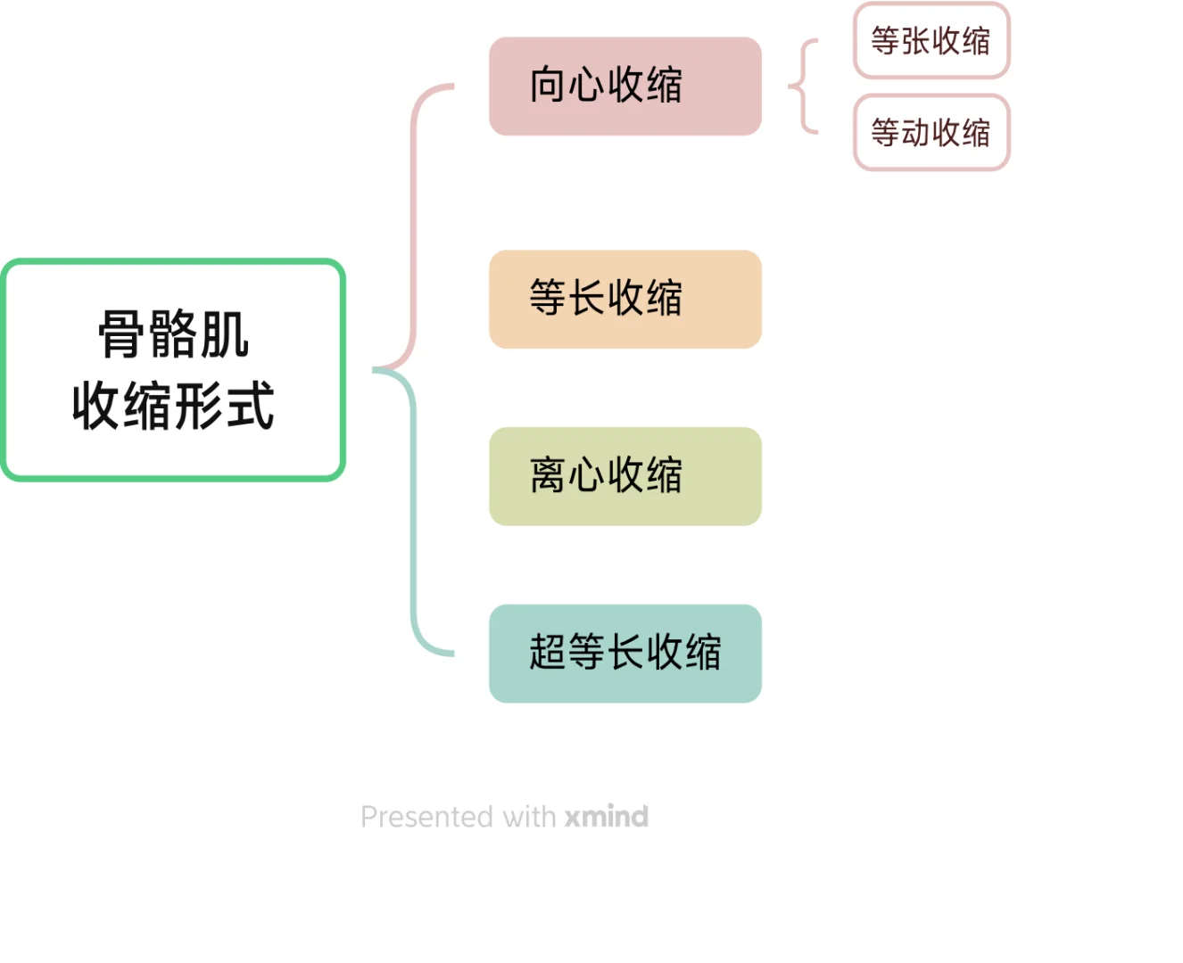 【每日干货】Day 1 骨骼肌收缩分类