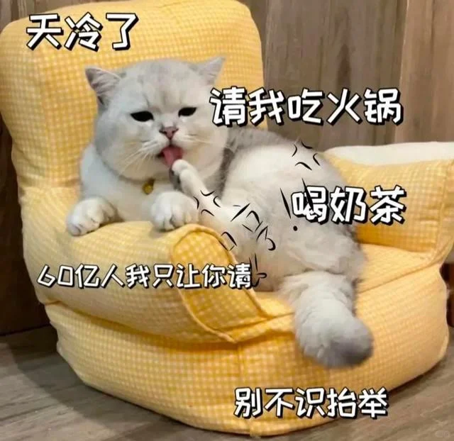 可爱猫咪发给对象表情包