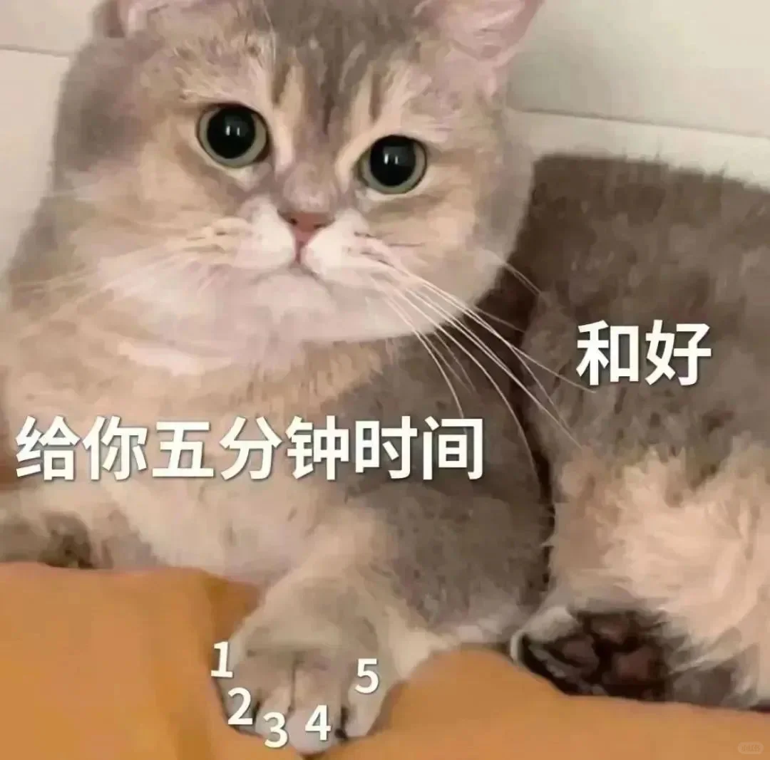 猫咪表情包 情侣聊天专用表情